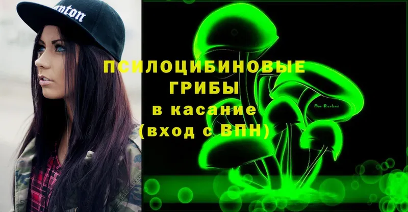 Псилоцибиновые грибы Magic Shrooms  как найти наркотики  Александров 